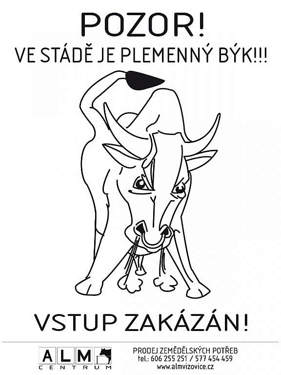 Plastová cedulka - POZOR BÝK