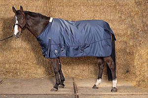 Nepromokavá deka Harry's Horse Xtreme 300 g