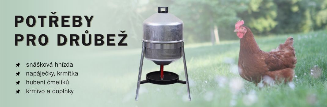 Chov slepic 2025